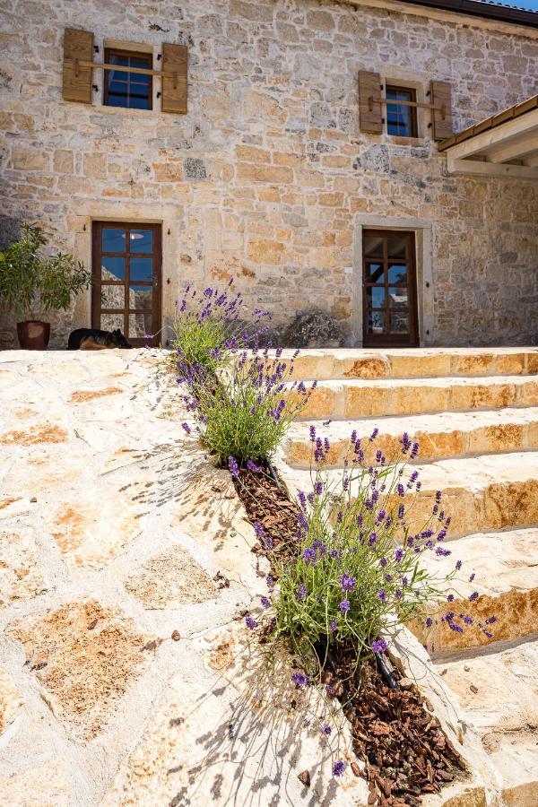 Stone House Dijana Istria Sveti Lovrec Villa Sveti Lovreč Pazenatički Exteriör bild